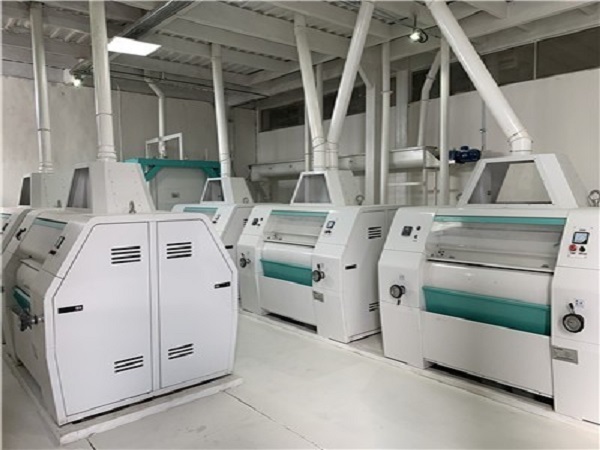 玉米面加工設備