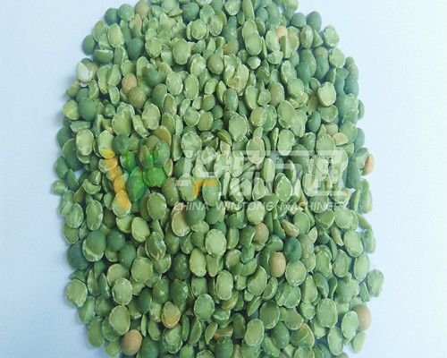 <a href=http://www.bjubbs.com.cn/product/8/ target=_blank class=infotextkey>豌豆脫皮機</a>